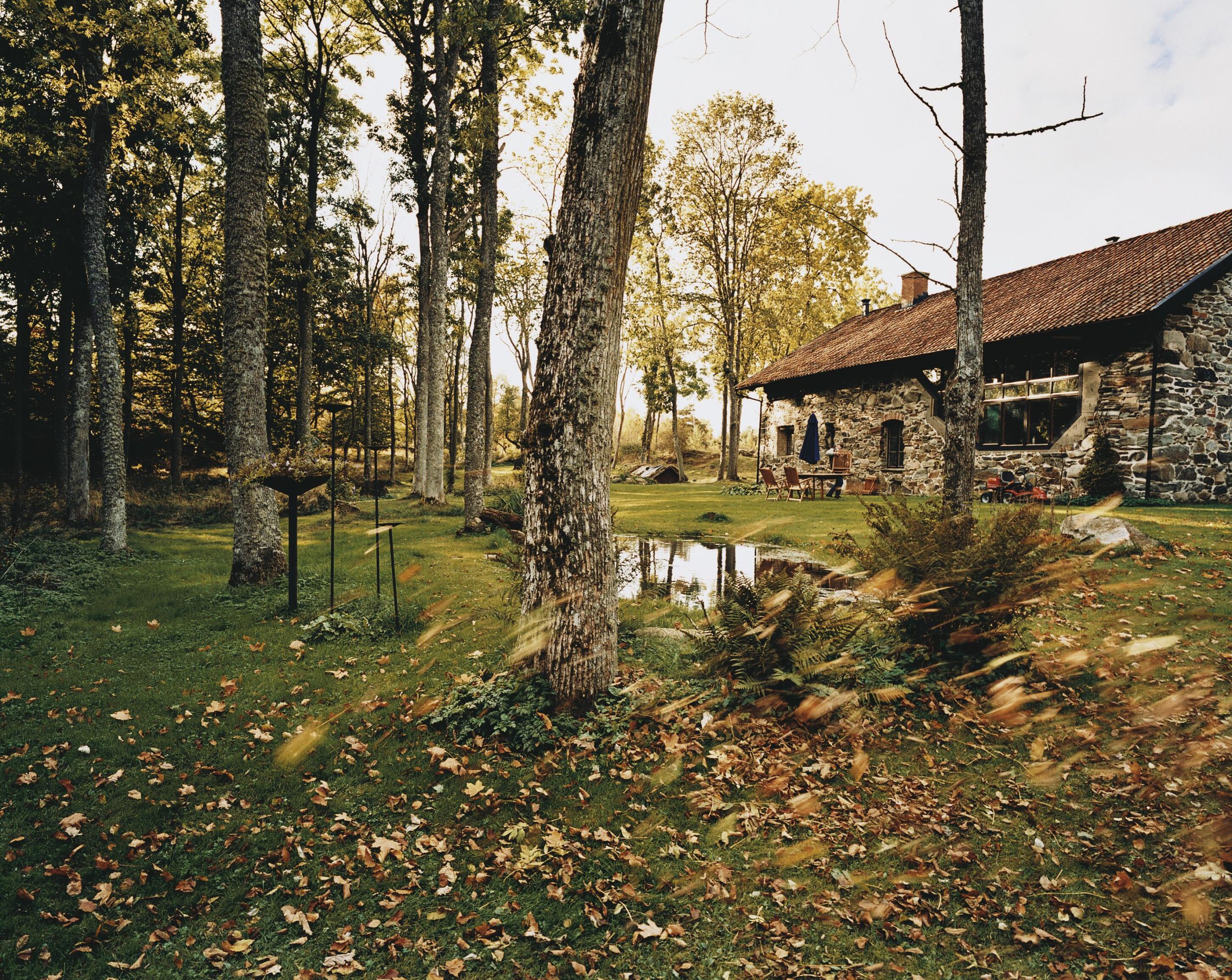 Höstträdgård
