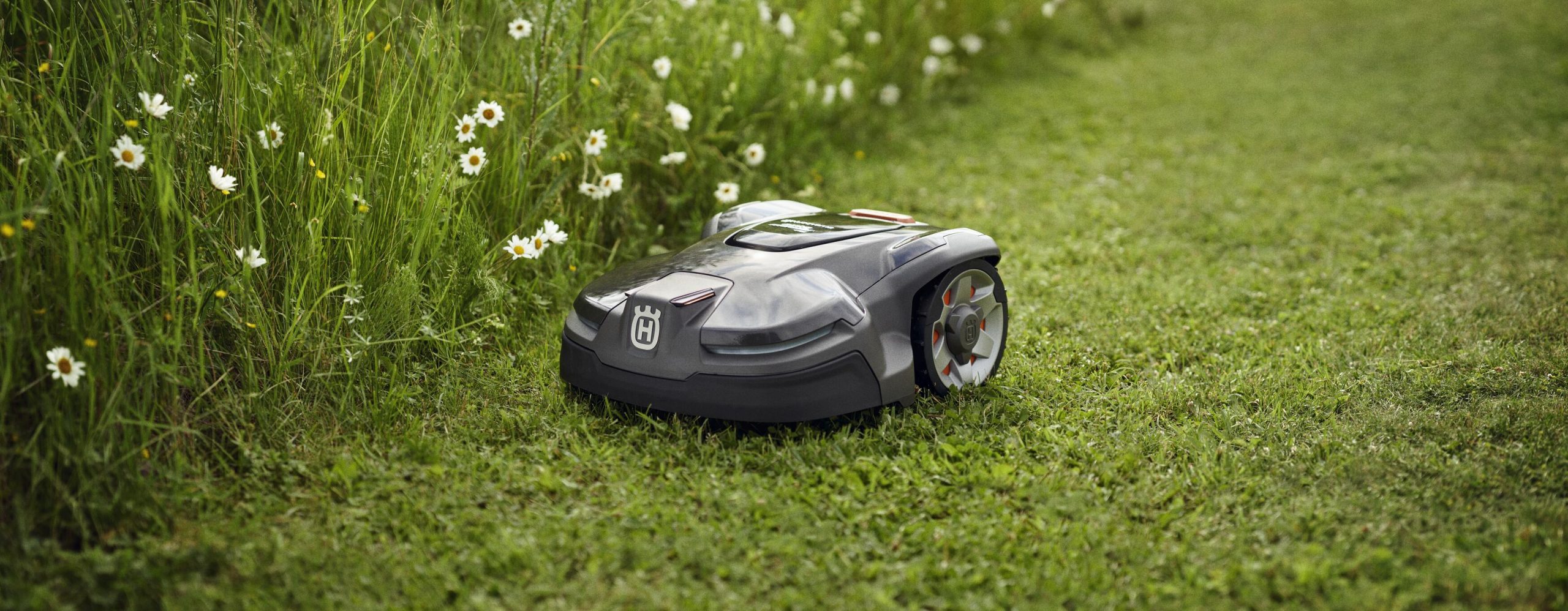 robotgräsklippare som klipper sommargräsmatta