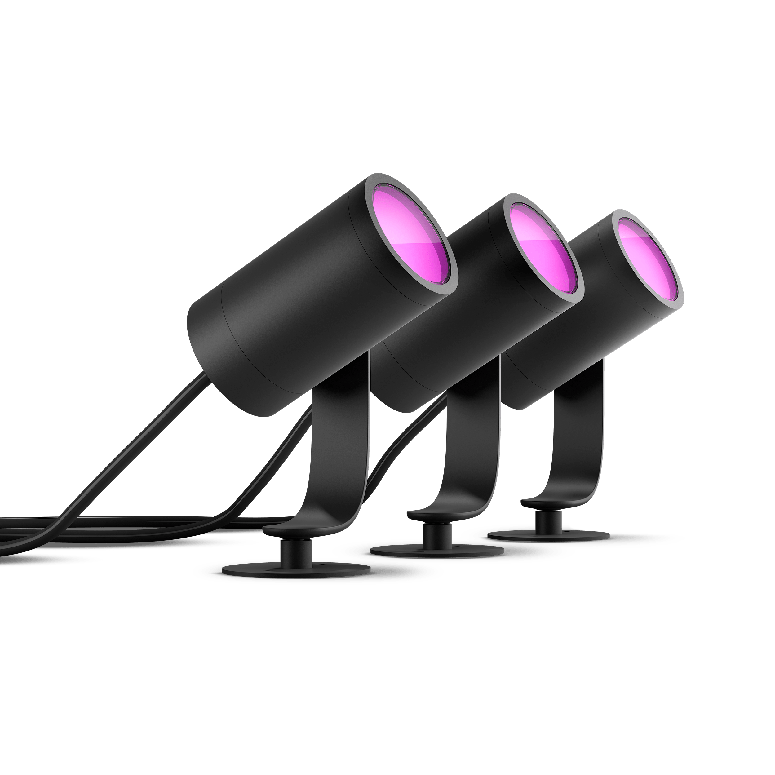Lily-3-pack